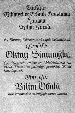 TÜBITAK Award 1966-jpg